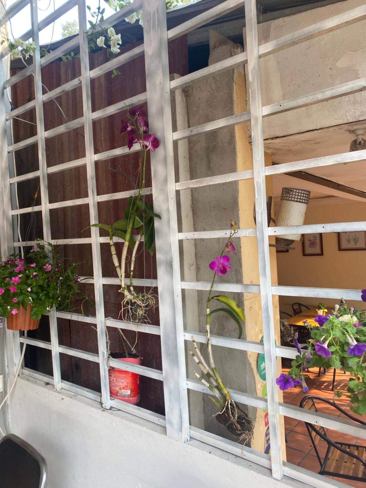 Moonshine Guesthouse Siem Reap Zewnętrze zdjęcie